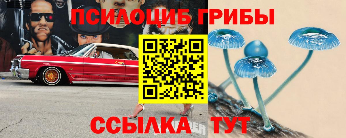 Псилоцибиновые грибы Magic Shrooms  Вход с VPN  Анжеро-Судженск  Псилоцибиновые грибы ЛСД 